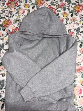 Aritzia perfect fit hoodie medium heather chrome grey
